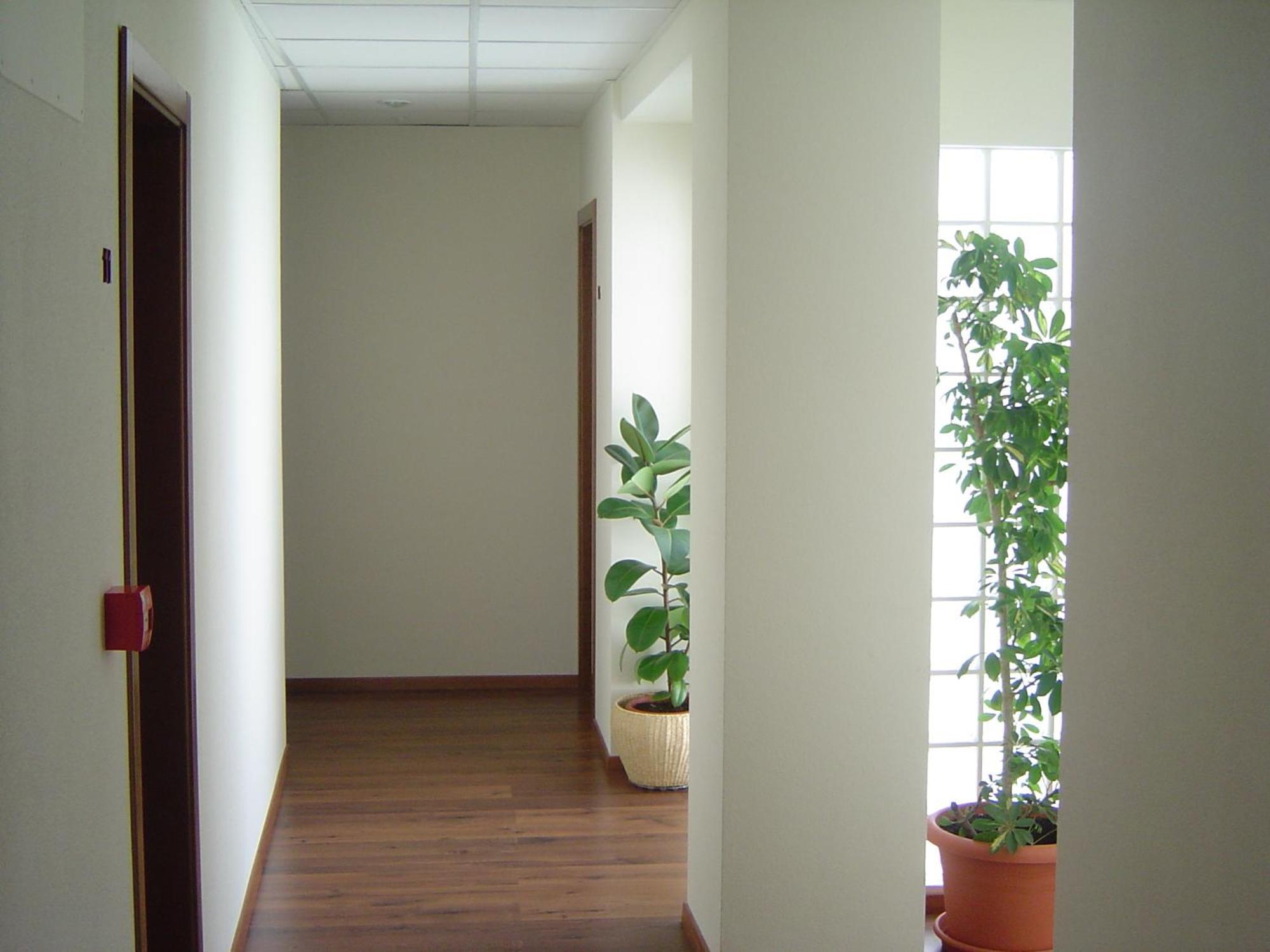 Hostal El Estudio Almansa Exterior photo